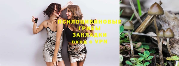 соль курить ск Михайлов