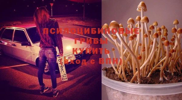 герыч Михайловка