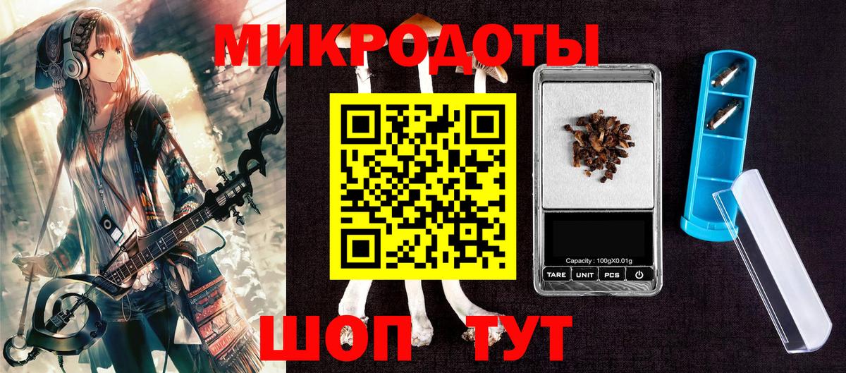 Галлюциногенные грибы мицелий  Избербаш  Псилоцибиновые грибы Psilocybe 