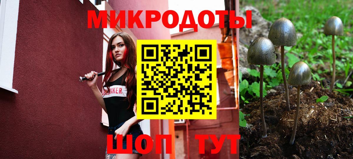 Галлюциногенные грибы ЛСД  Вход с VPN  Избербаш 
